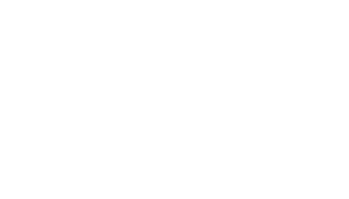 FARO Motion & Media